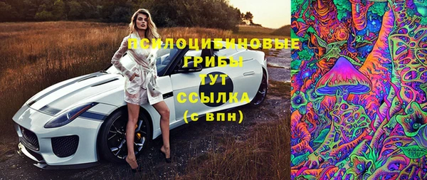 метадон Арсеньев