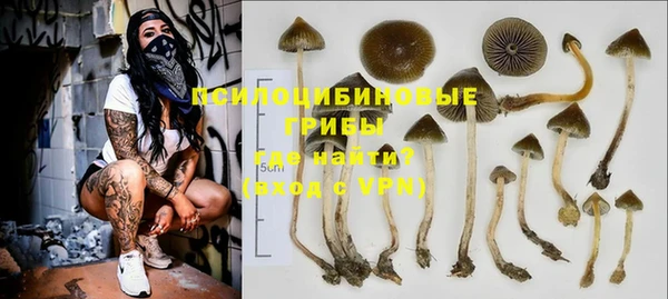 первитин Армянск